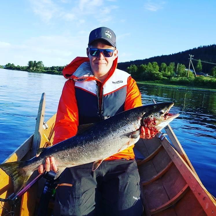 Arctic Camping Finland Pello Bagian luar foto